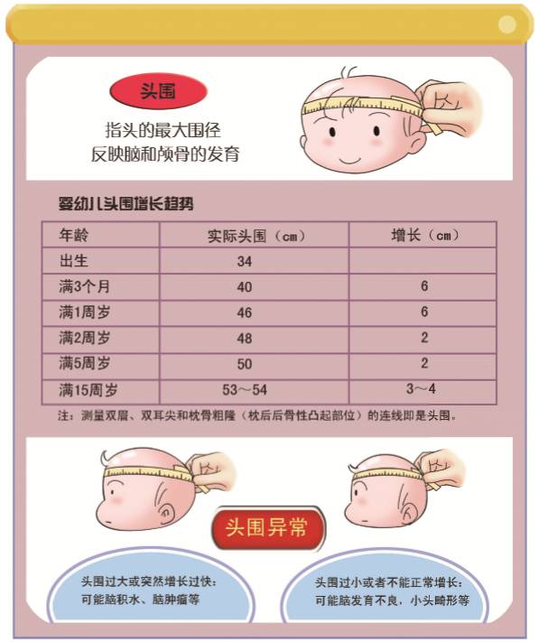 关于17个月宝宝头围的探讨