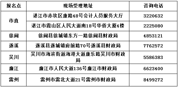 广东省专业技术资格评审表深度解读与应用探讨